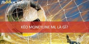 Kèo Moneyline Là Gì? Tips Hay Cá Độ Đảm Bảo Thắng Lớn