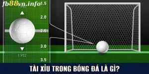 Tài Xỉu Trong Bóng Đá Là Gì Và Bí Kíp Đặt Cược Chính Xác