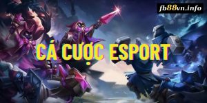 Cá cược Esports Live là gì? Các loại kèo phổ biến Esport 2024