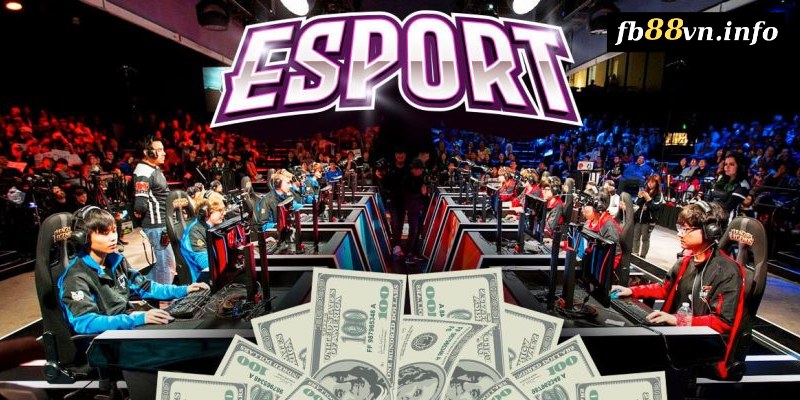 Cá cược Esports Live là gì