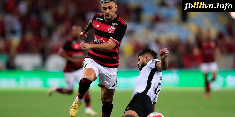 Phân tích trước trận đấu Vitoria vs Flamengo RJ