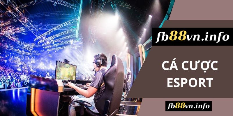 Tìm hiểu 02 sảnh game esport