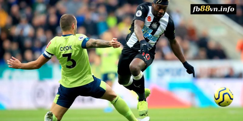 Phân tích trước trận đấu Bournemouth vs Newcastle