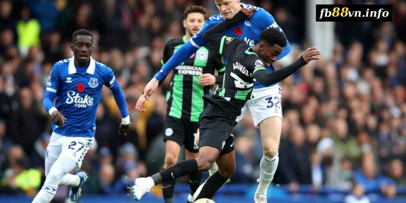 Phân tích trước trận đấu Everton vs Brighton