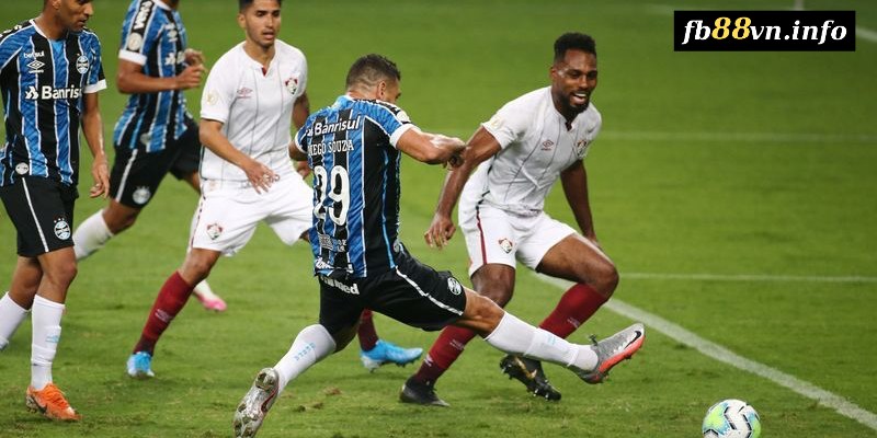 Phân tích trước trận đấu Gremio vs Fluminense