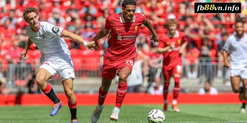 Phân tích trước trận đấu Ipswich vs Liverpool